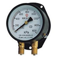 Duplex pressure gauge